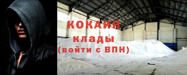 индика Волосово