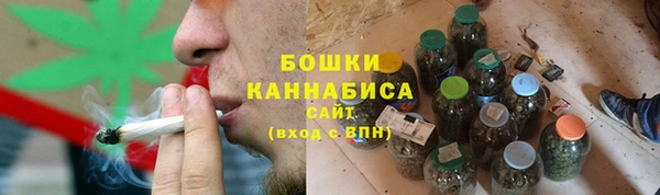 ПСИЛОЦИБИНОВЫЕ ГРИБЫ Верхнеуральск