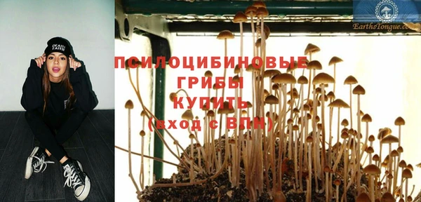ПСИЛОЦИБИНОВЫЕ ГРИБЫ Верхнеуральск