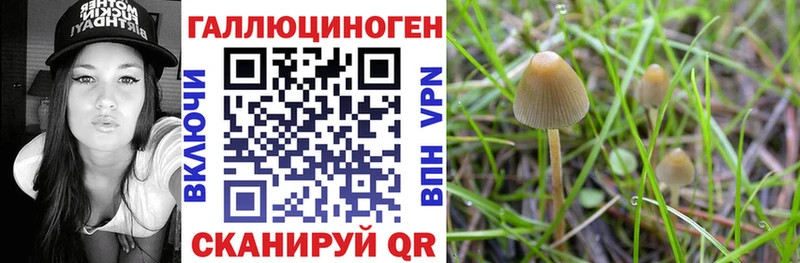 сайты даркнета состав  купить наркотики цена  Кимры  Псилоцибиновые грибы прущие грибы 