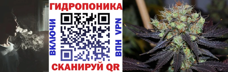 где продают наркотики  Кимры  ОМГ ОМГ как зайти  Бошки Шишки план 